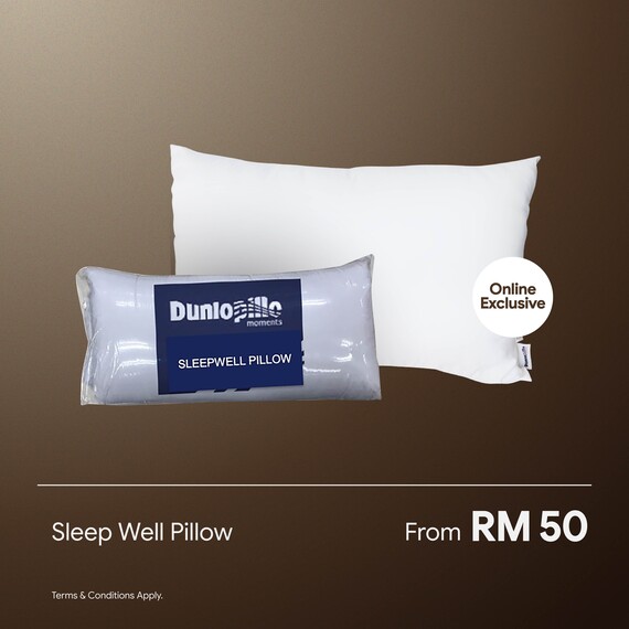 Sleep Well Pillow